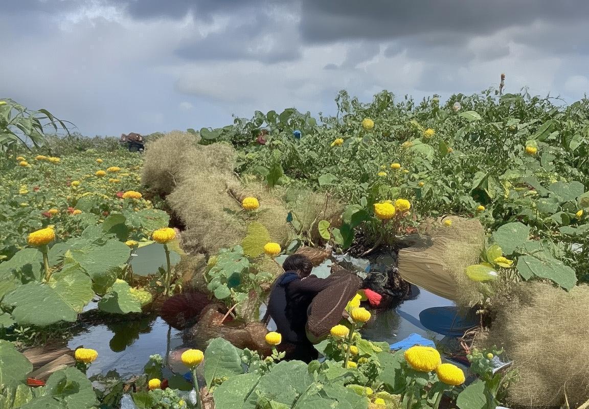 2020NBA常规赛焦点对决：灰熊vs热火巅峰之战解析